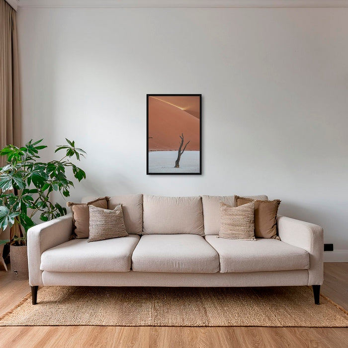 Acacia et rayon de soleil