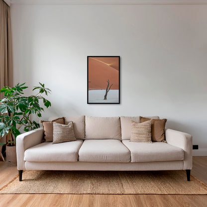 Acacia et rayon de soleil