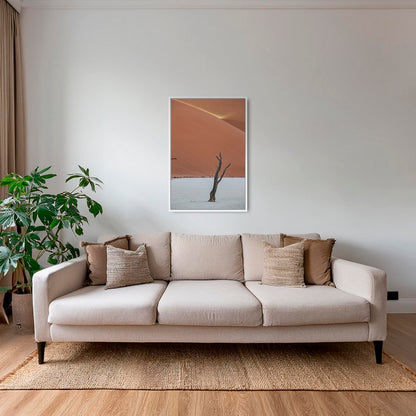 Acacia et rayon de soleil