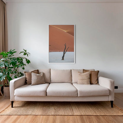 Acacia et rayon de soleil