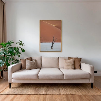 Acacia et rayon de soleil