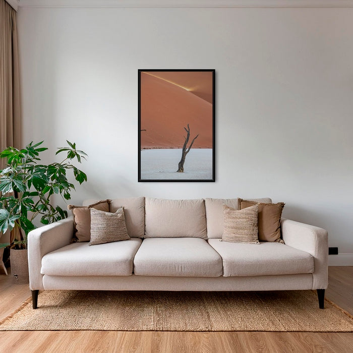 Acacia et rayon de soleil