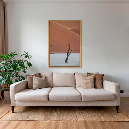 Acacia et rayon de soleil