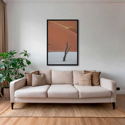 Acacia et rayon de soleil