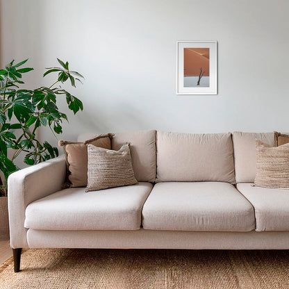 Acacia et rayon de soleil