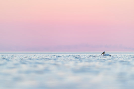Makgadikgadi
