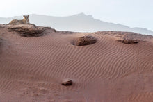 Charger l&#39;image dans la galerie, Reine Honaib
