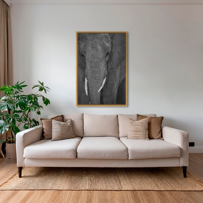 Visage du désert 2