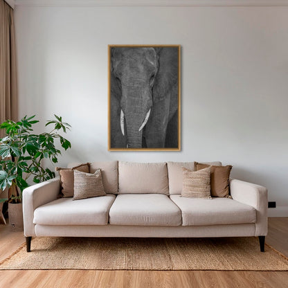 Visage du désert 2