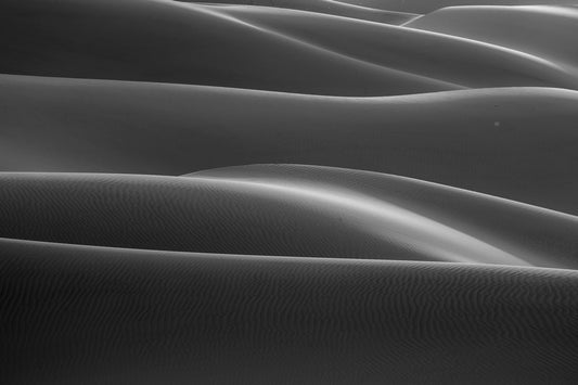 Nu de dunes 7