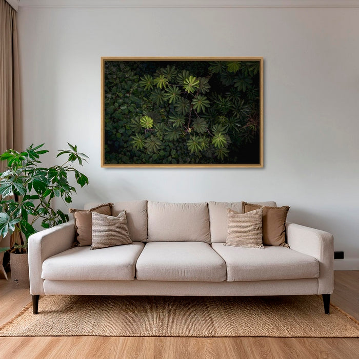Tableau de forêt vierge
