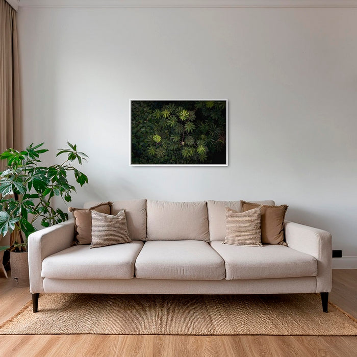 Tableau de forêt vierge