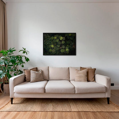 Tableau de forêt vierge