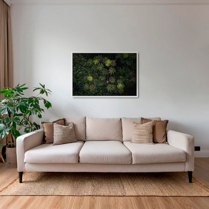 Tableau de forêt vierge