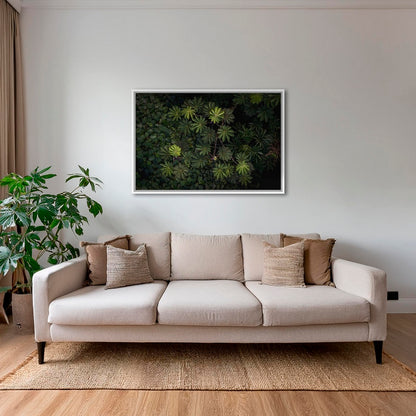 Tableau de forêt vierge