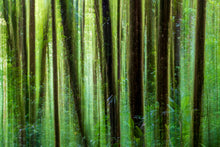 Charger l&#39;image dans la galerie, Esprits de la fôret
