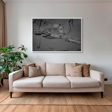 Charger l&#39;image dans la galerie, Leadwood lady 2
