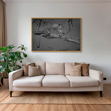 Charger l&#39;image dans la galerie, Leadwood lady 2
