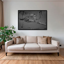 Charger l&#39;image dans la galerie, Leadwood lady 2
