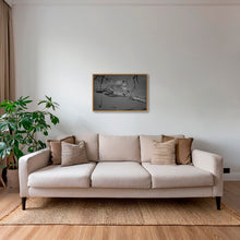 Charger l&#39;image dans la galerie, Leadwood lady 2
