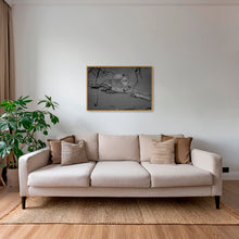 Charger l&#39;image dans la galerie, Leadwood lady 2
