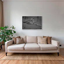 Charger l&#39;image dans la galerie, Leadwood lady 2
