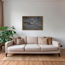 Charger l&#39;image dans la galerie, Leadwood lady 2
