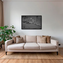 Charger l&#39;image dans la galerie, Leadwood lady 2
