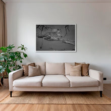 Charger l&#39;image dans la galerie, Leadwood lady 2
