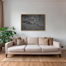 Charger l&#39;image dans la galerie, Leadwood lady 2
