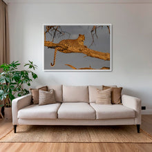 Charger l&#39;image dans la galerie, Leadwood lady
