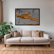 Charger l&#39;image dans la galerie, Leadwood lady
