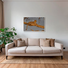 Charger l&#39;image dans la galerie, Leadwood lady
