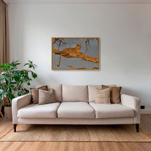 Charger l&#39;image dans la galerie, Leadwood lady
