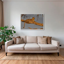 Charger l&#39;image dans la galerie, Leadwood lady
