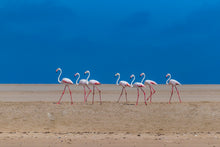 Charger l&#39;image dans la galerie, En file indienne
