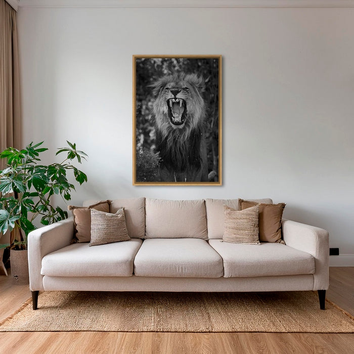 Le Roi baille