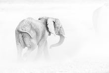 Charger l&#39;image dans la galerie, Poussière d&#39;argile
