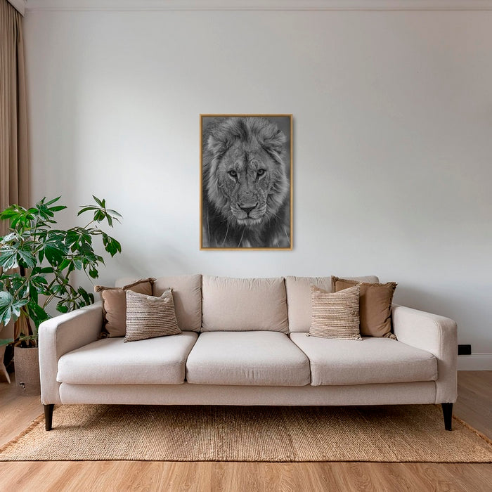 Regard d'un Roi