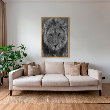 Regard d'un Roi