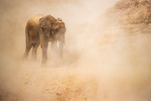 Charger l&#39;image dans la galerie, Seul dans la poussière
