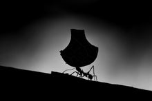 Charger l&#39;image dans la galerie, La porteuse d&#39;eau
