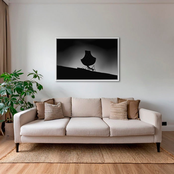 La porteuse d'eau