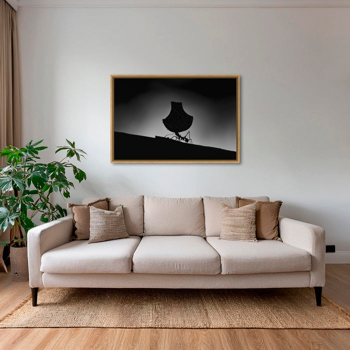 La porteuse d'eau