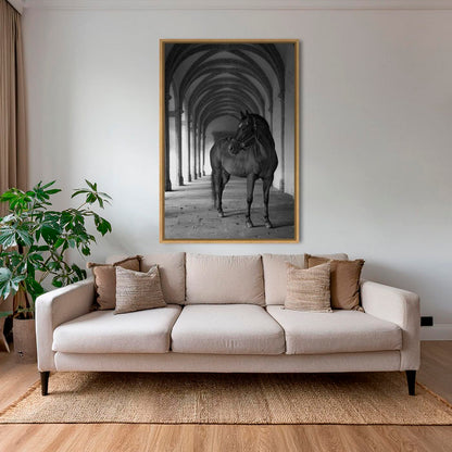 Cheval cloîtré 2