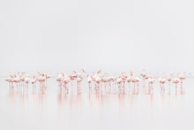 Charger l&#39;image dans la galerie, Brochette de flamants
