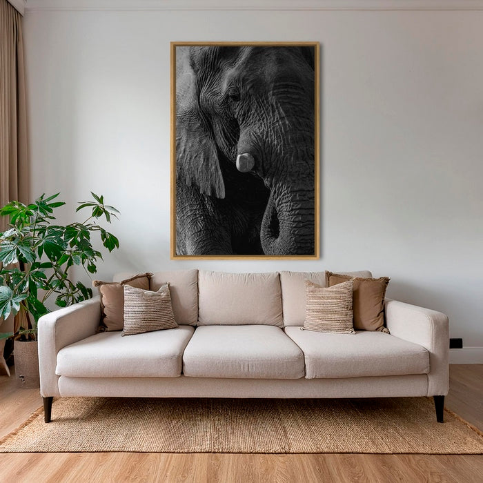 Texture d'Éléphant
