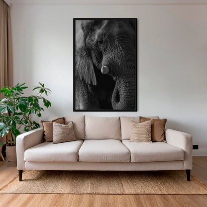 Texture d'Éléphant
