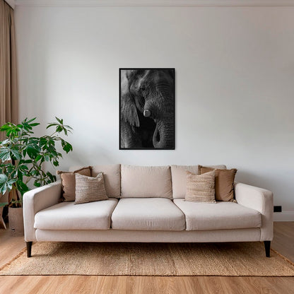 Texture d'Éléphant