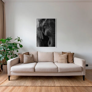 Texture d'Éléphant